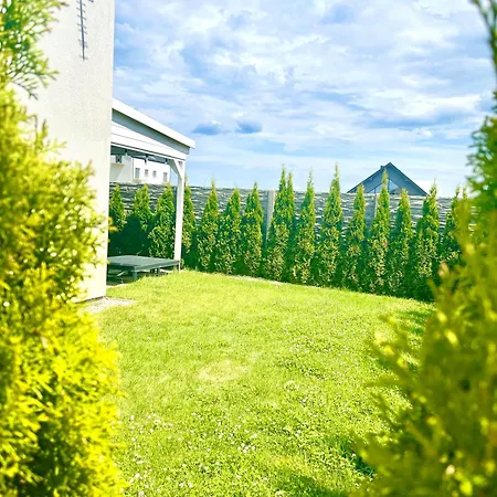 Venus بيت خشبي